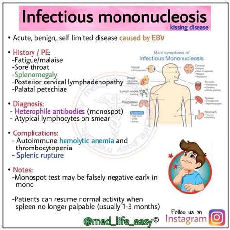 Infectious mononucleosis - MEDizzy