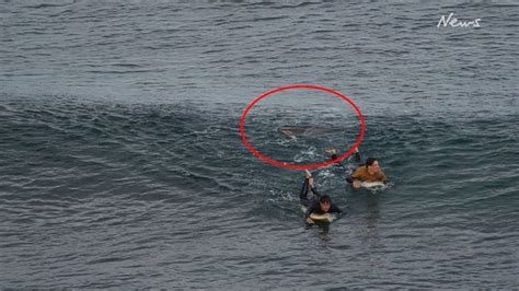 Heart-stopping footage: Shark attack at Southside Beach | Geelong ...