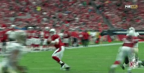 Arizona Cardinals Football GIF by NFL - Find & Share on GIPHY