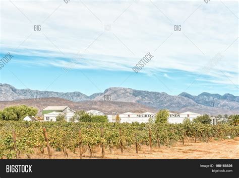 MCGREGOR SOUTH AFRICA Image & Photo (Free Trial) | Bigstock