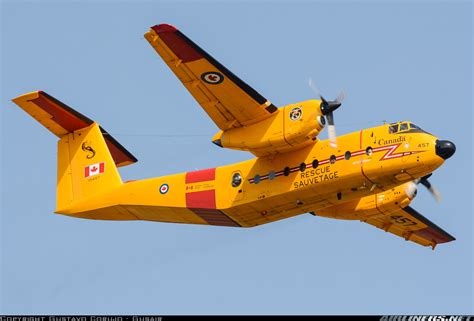 De Havilland Canada CC-115 Buffalo (DHC-5) - Canada - Air Force | Aviation Photo #4938775 ...