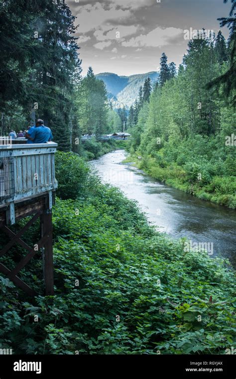 Fish Creek Bear Viewing Platform, Hyder, Alaska Stock Photo - Alamy