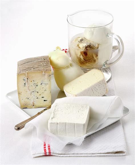 Various Types Of Buffalo Milk Cheese Photograph by Franco Pizzochero - Fine Art America