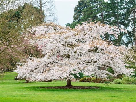 Cambridge University Botanic Garden (Cambridge) - Visitor Information ...