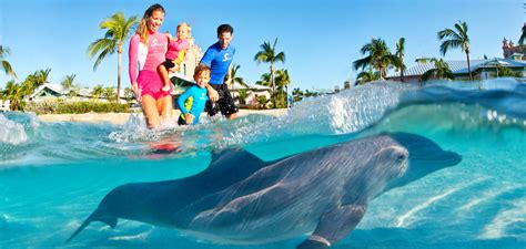 Dolphin Cay em Bahamas oferece novas experiências - Maior Viagem