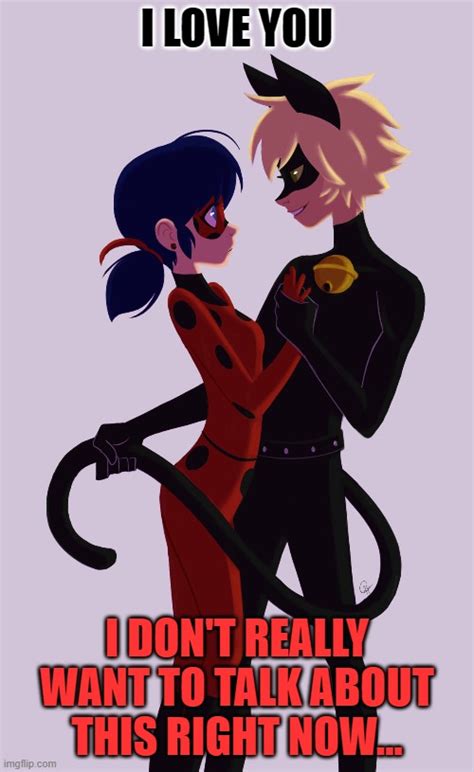 LadyBug And Cat Noir - Imgflip