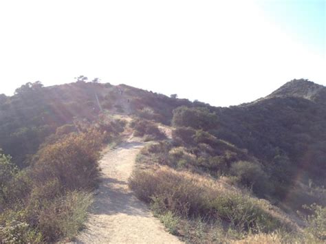 Hiking Runyon Canyon Park - SoCal Hiker