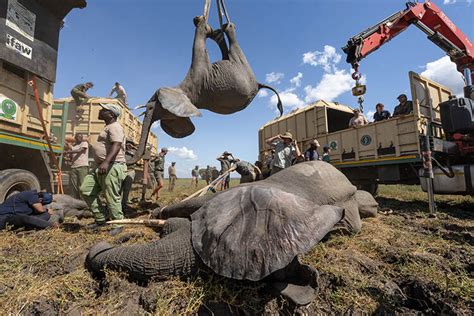 Environmental Photography Award 2023 winners - Geographical