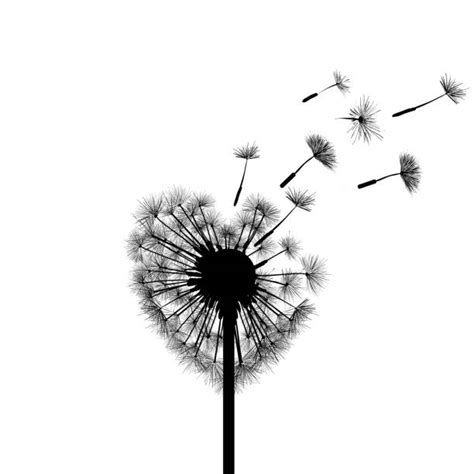 Royalty Free Dandelion Clip Art, Vector Images & Illustrations - iStock