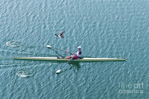 Man Rowing Scull Photograph by Microgen Images/science Photo Library