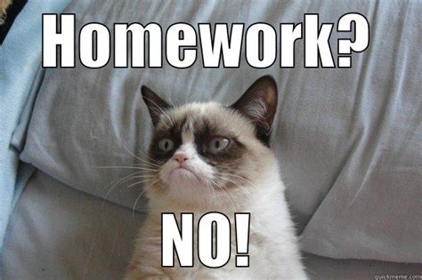 Funny Memes About Homework Funny Spider Man Memes About Homework Gif ...