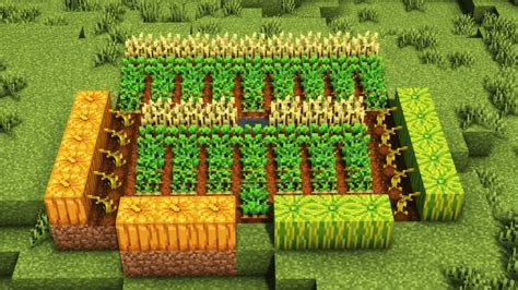 Top 5 things to know about crops in Minecraft