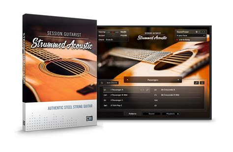 Session Guitarist - Strummed Acoustic by Native Instruments