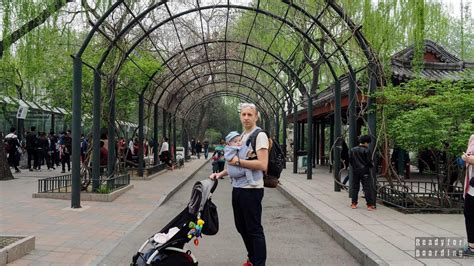 Beijing - giant pandas at the Beijing Zoo - Ready for Boarding