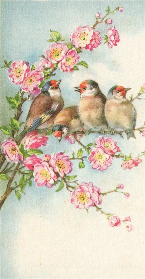 LM Studio: Vintage Postcard Birds in a cherry tree. | Vintage birds ...