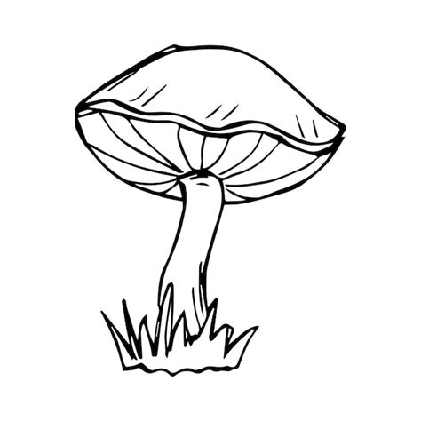 Premium Vector | Hand drawn mushroom black and white vector