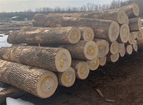 Veneer Logs & Saw Logs - Kretz Lumber