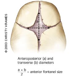 The Abnormal Fontanel | AAFP