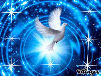 Google+ Holy Spirit, Trinity, Doves, Religion, Blessed, Fish, Animals ...