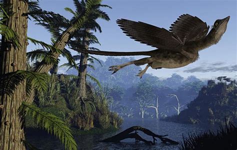 Archaeopteryx – the first bird | DinoAnimals.com