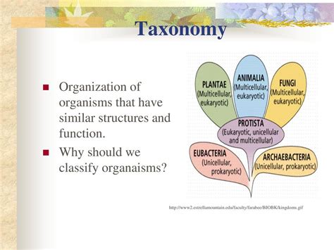 What is Biology?. - ppt video online download