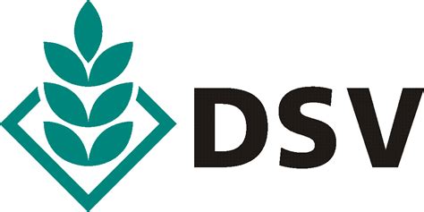 DSV Logo - LogoDix