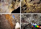 Prokaryotic communities from a lava tube cave in La Palma Island (Spain) are involved in the ...