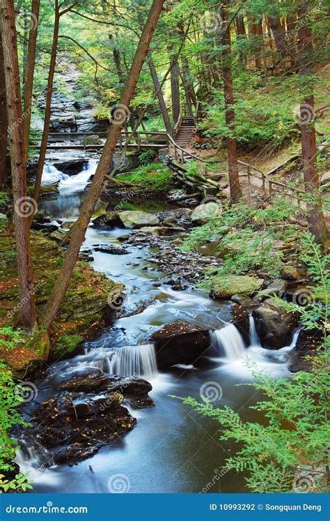 Creek with hiking trails stock photo. Image of fall, beauty - 10993292