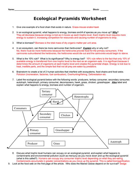 KEY ecological-pyramids-worksheet 2013 - - Studocu