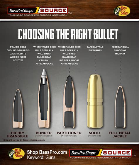 Use This Rifle Caliber Chart to Pick the Right Ammo for Hunting | Bass Pro Shops