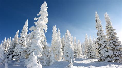 Steamboat Springs, Colorado Is The Ideal Winter Sports Destination - Explore - TrendRadars