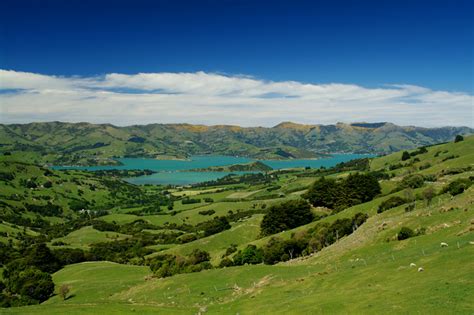 From Hanmer Springs to Akaroa - Justinsomnia