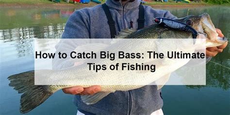 How to Catch Big Bass: The Ultimate Tips of Fishing | FishingRex