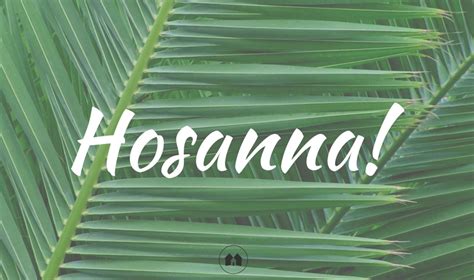 Sunday Soaking: Palm Sunday — Hosanna! - A Reason For Homeschool