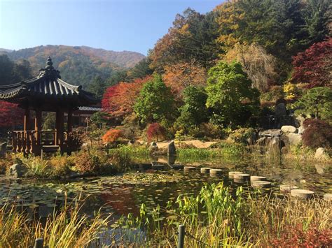 The Garden of Morning Calm (아침고요수목원). Gyeonggi-do South Korea. #travel #ttot #nature #photo # ...