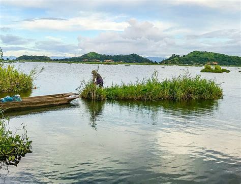 KEIBUL LAMJAO NATIONAL PARK (Bishnupur District): Tutto quello che c'è ...