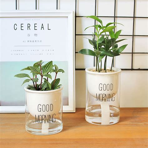 Set of 2 Self Watering Ceramic Planters With Glass - Etsy