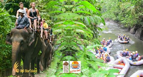 Mason Elephant Safari Rafting Package | Bali Adventure Packages