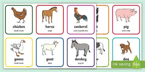 Farm animal flashcards | Twinkl resources - Twinkl