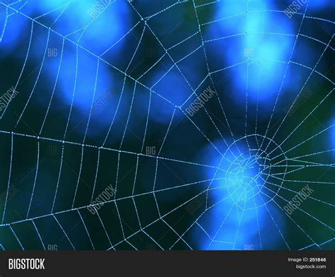 Blue Spider Web Image & Photo (Free Trial) | Bigstock