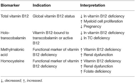 Frontiers | Vitamin B12 Intake From Animal Foods, Biomarkers, and ...