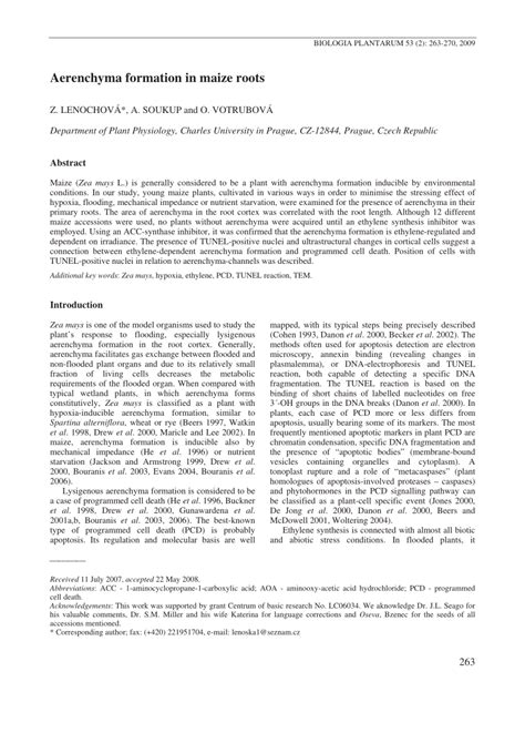 (PDF) Aerenchyma formation in maize roots1