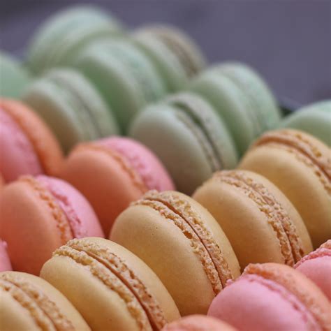 Les macarons | Le Panier, Seattle WA www.lepanier.com Macarons, Easter Eggs, Seattle, Sound ...