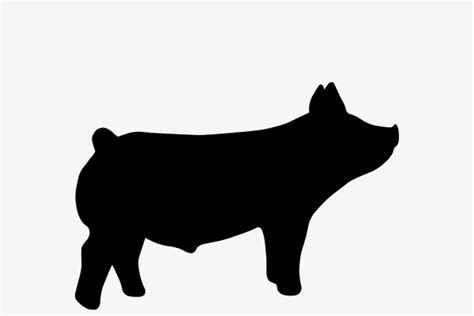 Pig Silhouette Show Pig Svg - 183+ File Include SVG PNG EPS DXF