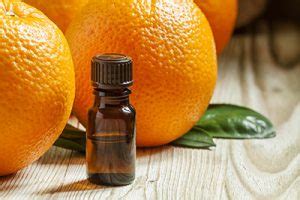 Citrus Essential Oil Recipes | OilExTech