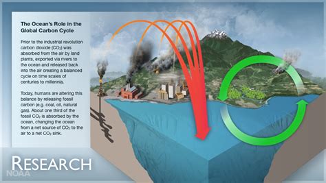 Ocean Acidification | National Oceanic and Atmospheric Administration