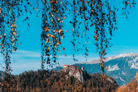 Lake Bled in the Alpine mountains 2171836 Stock Photo at Vecteezy