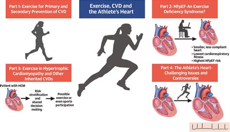 Cardiovascular Disease Exercise Training at Antonio McNeil blog