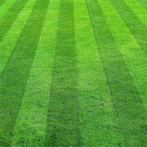 Best Lawn Mowing Patterns | Cardinal Lawns