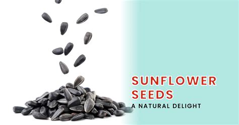 How to Eat Sunflower Seeds: The Ultimate Guide